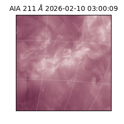 saia - 2026-02-10T03:00:09.630000