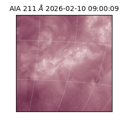 saia - 2026-02-10T09:00:09.626000