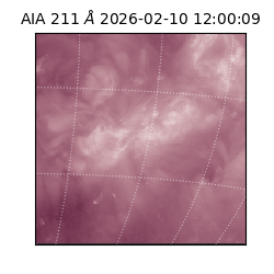 saia - 2026-02-10T12:00:09.626000