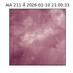 saia - 2026-02-10T21:00:33.629000