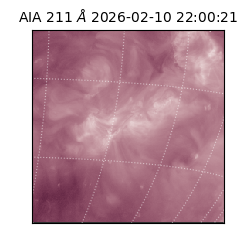 saia - 2026-02-10T22:00:21.626000