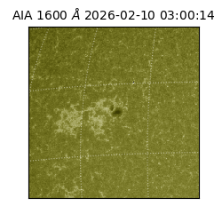 saia - 2026-02-10T03:00:14.126000