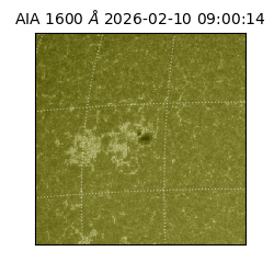 saia - 2026-02-10T09:00:14.126000