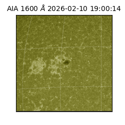 saia - 2026-02-10T19:00:14.130000