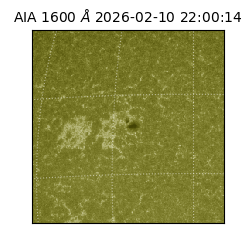 saia - 2026-02-10T22:00:14.118000