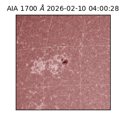 saia - 2026-02-10T04:00:28.718000