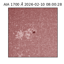 saia - 2026-02-10T08:00:28.718000