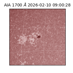 saia - 2026-02-10T09:00:28.719000