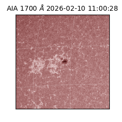 saia - 2026-02-10T11:00:28.718000