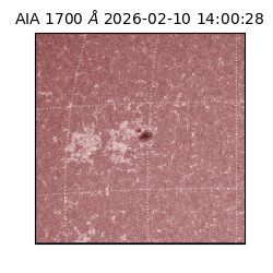 saia - 2026-02-10T14:00:28.734000