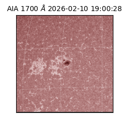 saia - 2026-02-10T19:00:28.717000