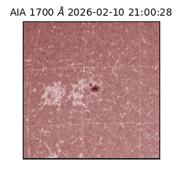 saia - 2026-02-10T21:00:28.717000