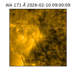 saia - 2026-02-10T09:00:09.350000