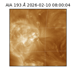 saia - 2026-02-10T08:00:04.842000
