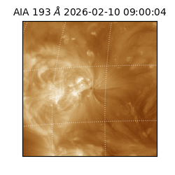 saia - 2026-02-10T09:00:04.846000