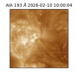 saia - 2026-02-10T10:00:04.835000