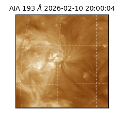 saia - 2026-02-10T20:00:04.843000