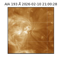 saia - 2026-02-10T21:00:28.843000