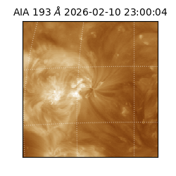 saia - 2026-02-10T23:00:04.835000
