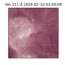 saia - 2026-02-10T02:00:09.626000