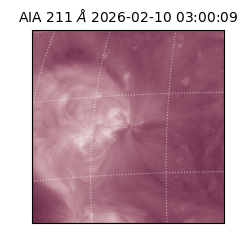 saia - 2026-02-10T03:00:09.630000