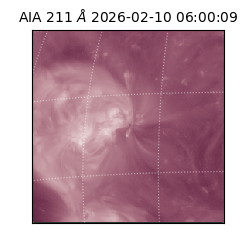 saia - 2026-02-10T06:00:09.618000