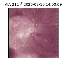 saia - 2026-02-10T14:00:09.629000