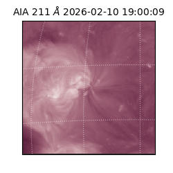 saia - 2026-02-10T19:00:09.631000