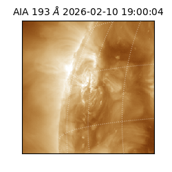 saia - 2026-02-10T19:00:04.847000