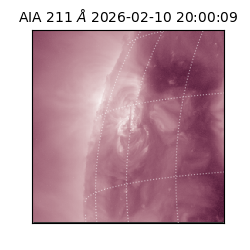 saia - 2026-02-10T20:00:09.630000