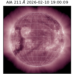 saia - 2026-02-10T19:00:09.631000