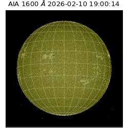 saia - 2026-02-10T19:00:14.130000