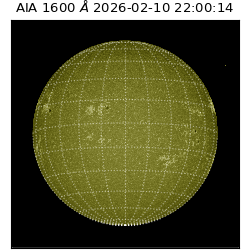 saia - 2026-02-10T22:00:14.118000