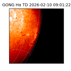 gong - 2026-02-10T09:01:22