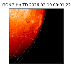 gong - 2026-02-10T09:01:22