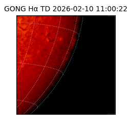 gong - 2026-02-10T11:00:22