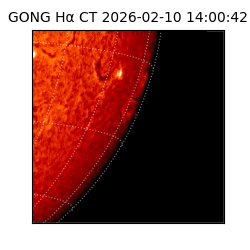 gong - 2026-02-10T14:00:42