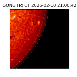 gong - 2026-02-10T21:00:42