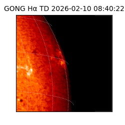 gong - 2026-02-10T08:40:22