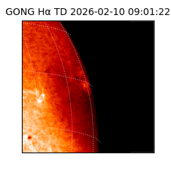 gong - 2026-02-10T09:01:22