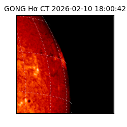 gong - 2026-02-10T18:00:42