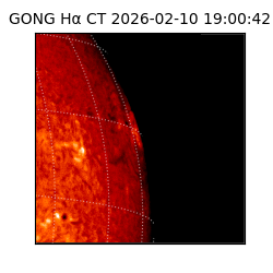 gong - 2026-02-10T19:00:42