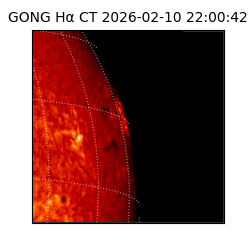 gong - 2026-02-10T22:00:42