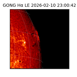 gong - 2026-02-10T23:00:42