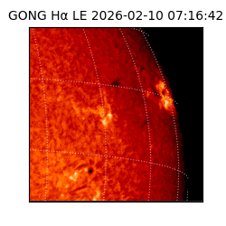 gong - 2026-02-10T07:16:42