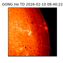 gong - 2026-02-10T08:40:22