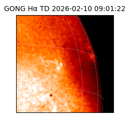 gong - 2026-02-10T09:01:22