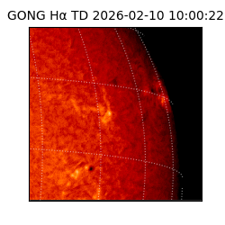 gong - 2026-02-10T10:00:22