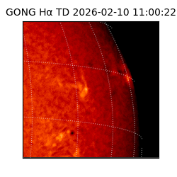 gong - 2026-02-10T11:00:22