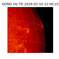 gong - 2026-02-10T12:00:22